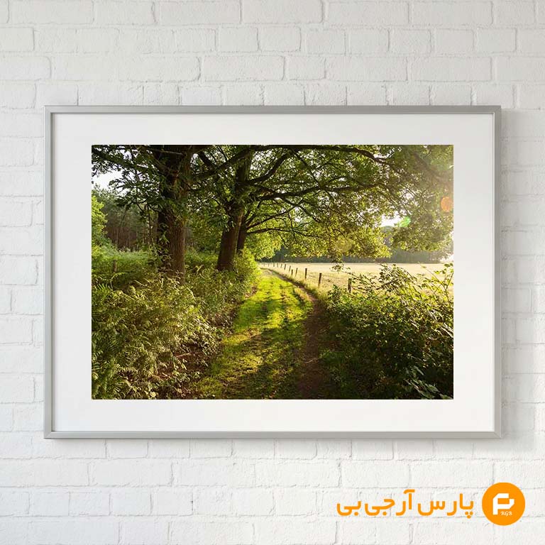 beautiful-shot-sunrise-country-road-netherlands-demo طبیعت